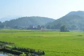 婆婆看了准儿媳装修的婚房，发现了她的秘密，劝儿子和准儿媳分手图片