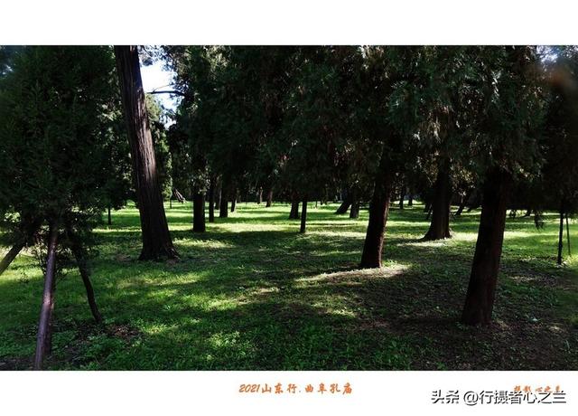 山东行游影记（207）—曲阜孔庙（二）