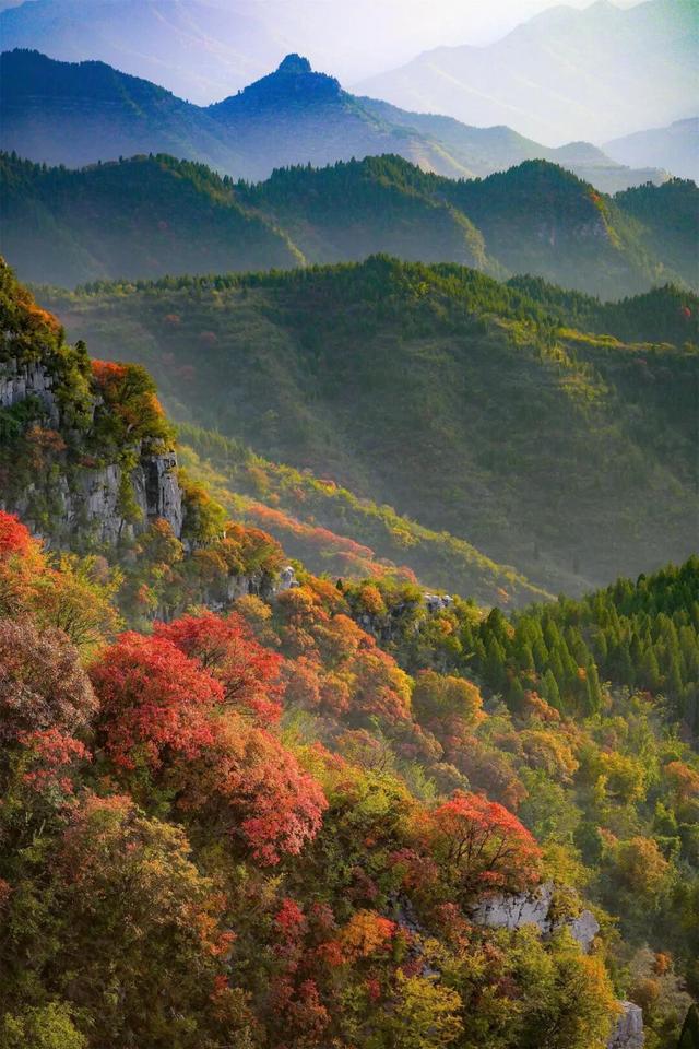 淄博金秋打卡攻略！红叶进入高饱和模式，教你拍出手机氛围感大片！