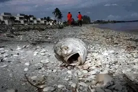日本核污水再次排海，美国态度发生大转变，终将为自己行为买单！图片