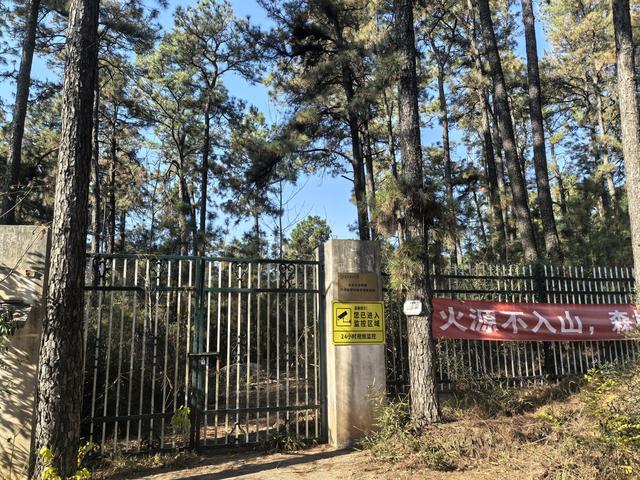 南京第二次到镇江武岐山空青山郊野徒步