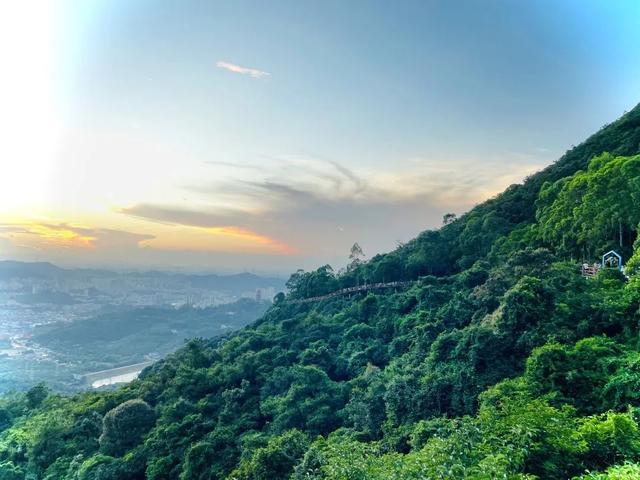 翡翠结界全开！来观音山打卡现实版的绿野仙踪，带你沉浸式过凉夏