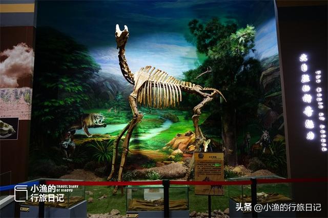 三省交界，陕北最北！陕西超豪横的县，风景独一无二，自驾超爽