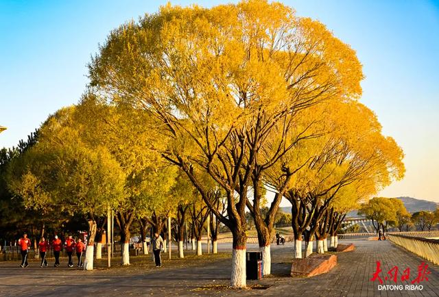 文瀛湖晚秋盛景上线！澄澈湖水与斑斓秋色撞个满怀，赏景正当时~