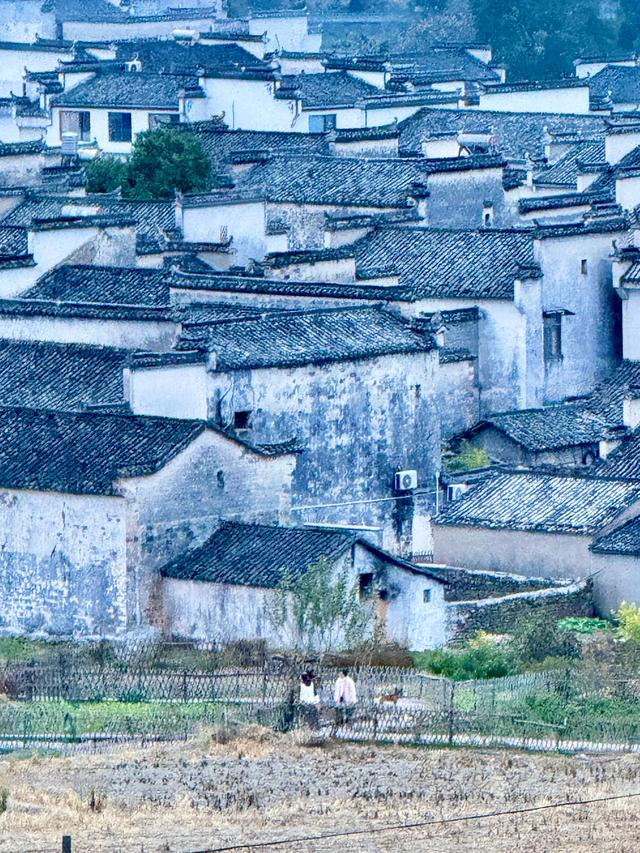 等待日出（黟县宏村镇卢村与奇墅湖）