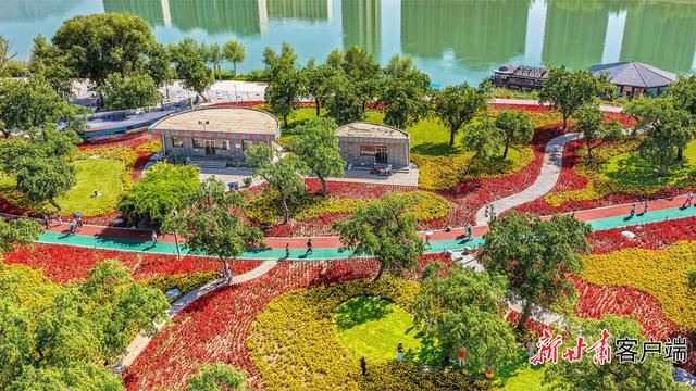 永靖县黄河花堤：繁花织就休闲打卡地