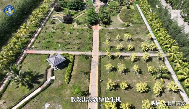 美济岛出现首个湿地公园，希望早日成为国内游客的南沙打卡地