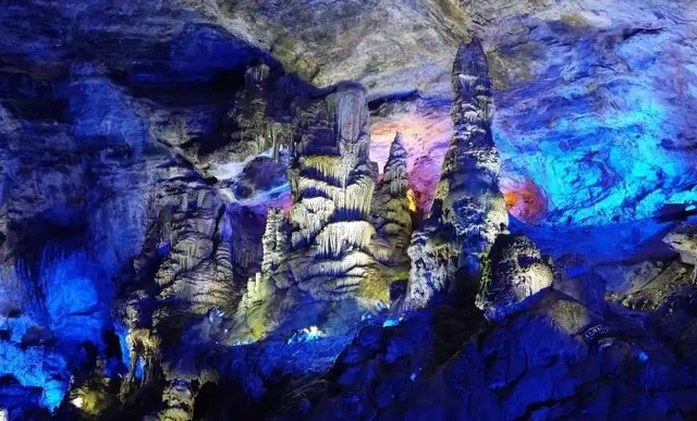 别等春天！陇南的冬日密语里，藏着限定版春日烂漫