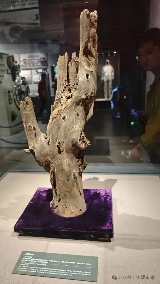 行走山东半岛①|向海而生,探访中国人民解放军海军博物馆