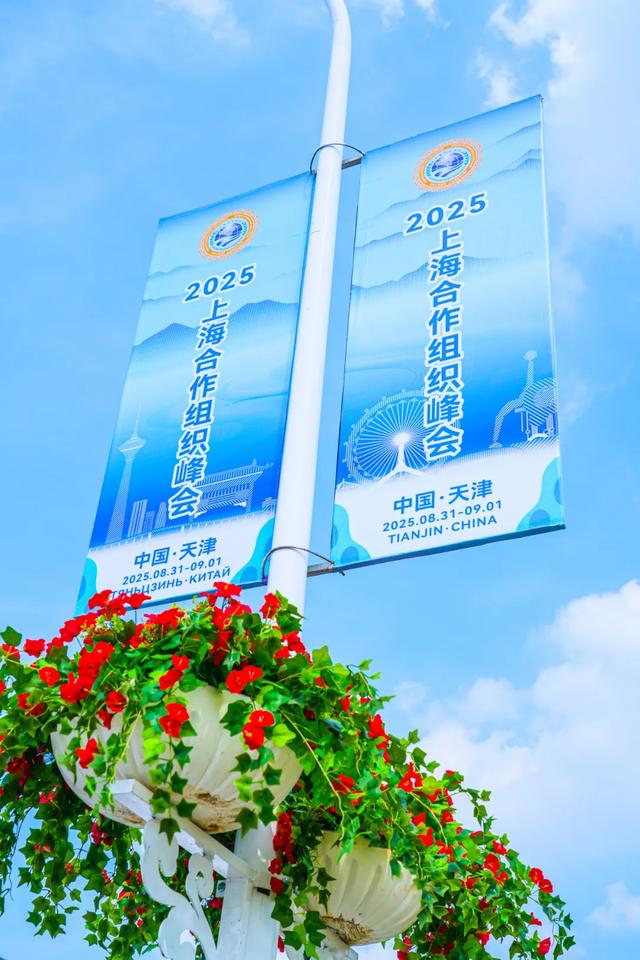 相约上合 绽放津彩 | 天津港保税区盛装迎宾朋 “梳妆焕颜”待上合