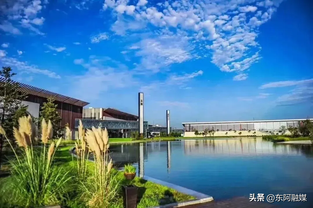 60岁以上老人免费！重阳节东阿这个景区邀你登高祈福