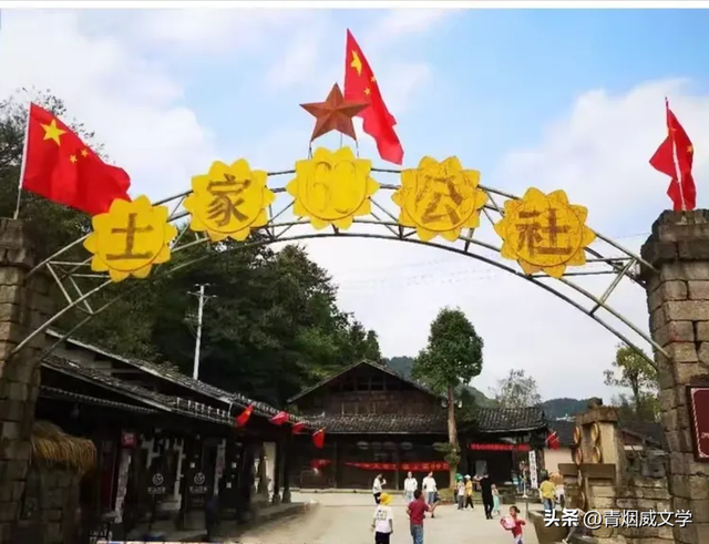 2025 凉雾之夏