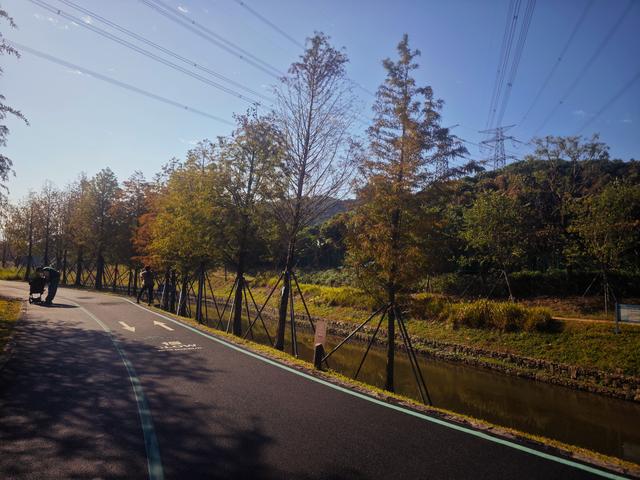 从丽康路穿荔园溪谷至西丽湖绿道骑行随拍