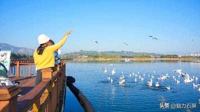 旅居吧！在石屏阳光灿烂的冬日里