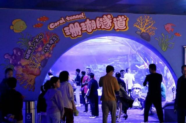 “追景指数”上升！日照这四大热点景区，上榜！