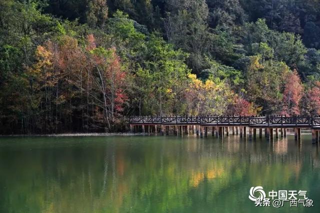 提醒！元旦来广西玩的朋友注意 较强冷空气来袭 降温5～7℃+阴雨+大风 出行攻略速存→
