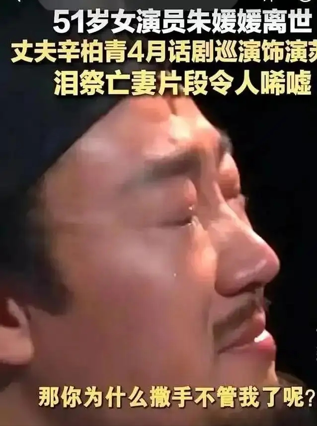 辛柏青丧妻刚满100天，离谱的事就发生了，被撮合娶马伊琍引争议