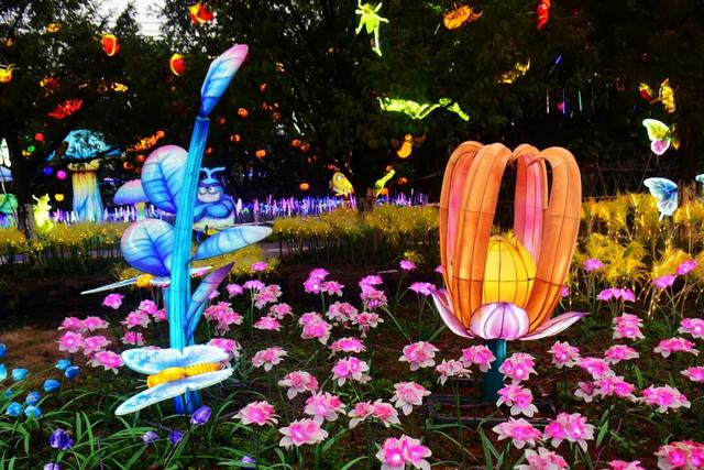 桂林:首届非遗千灯游园,光影艺术璀璨盛宴!