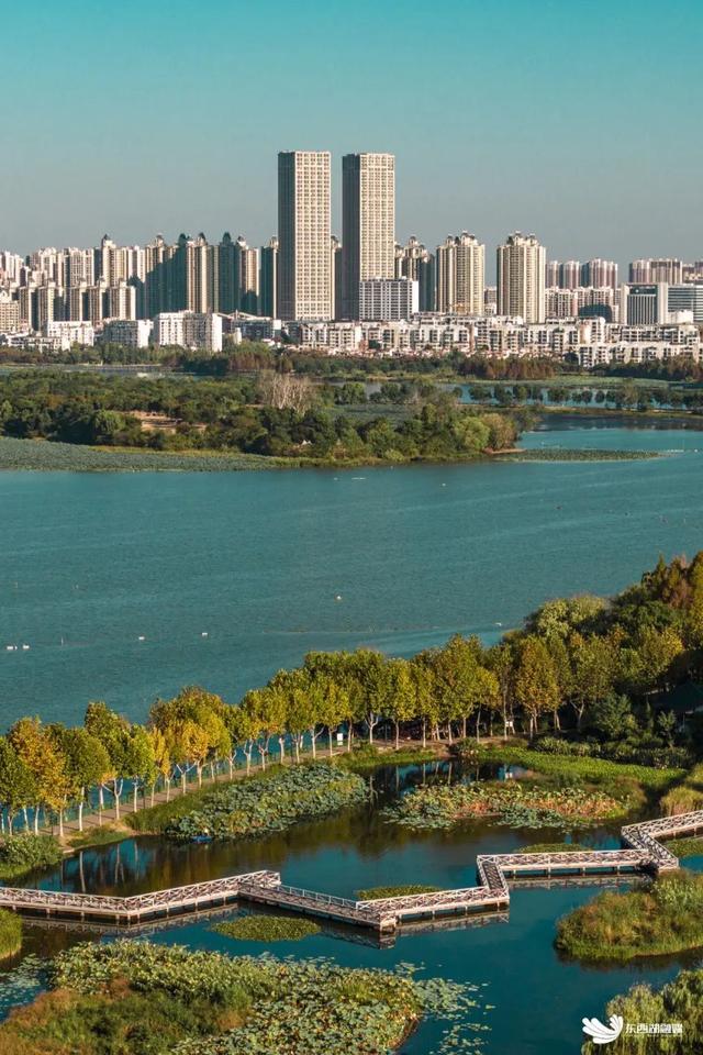 再不来东西湖，暑假就结束了！