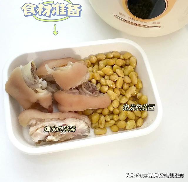 黄豆炖花胶 2026年花胶可以煲黄豆吗 黄豆炖花胶 2026年花胶可以煲黄豆吗