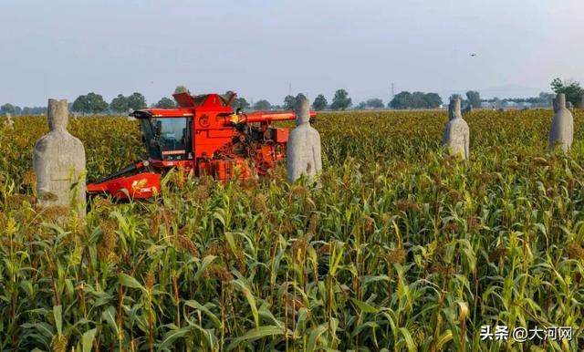 来这里，解锁千年的“限定秋色”！