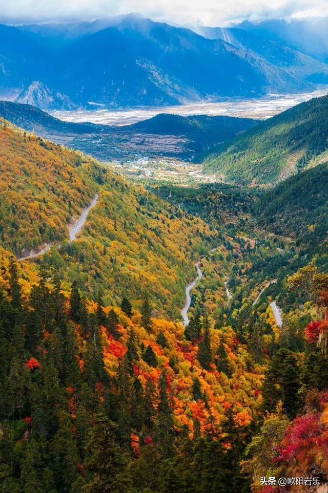 是什么让资深驴友每年秋天都偷偷跑去川西？？