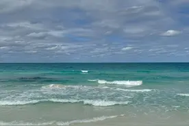 豪横的底气不怕丢人图片