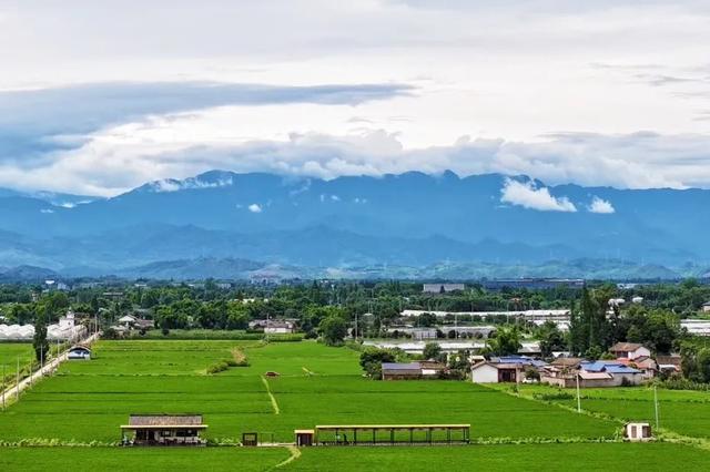 夏崃｜在稻浪绿海中，邂逅漫画夏天与“岛屿”假日