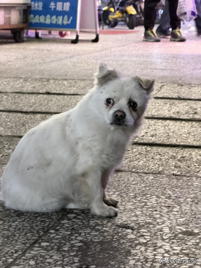 本地人严选!这条深藏在沈阳老城区的美食街,从早吃到晚可太顶了
