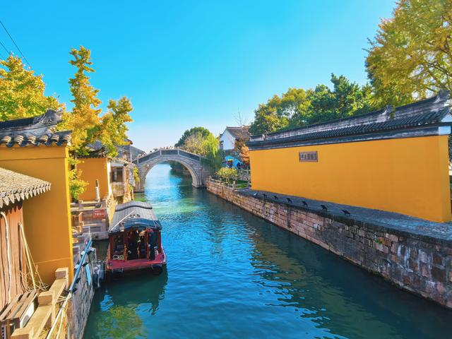 银杏鎏金，满城秋意关不住