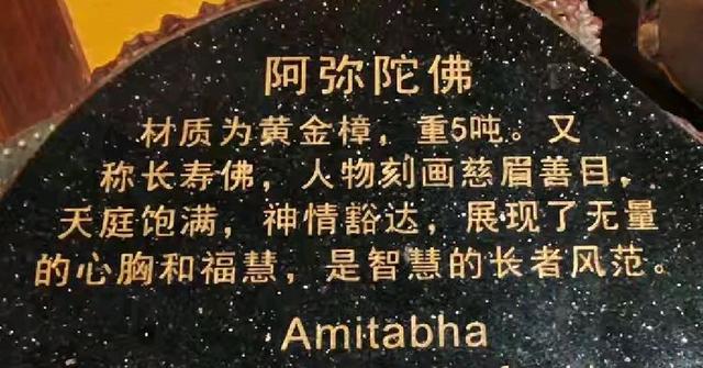 参观根宫佛国博物馆