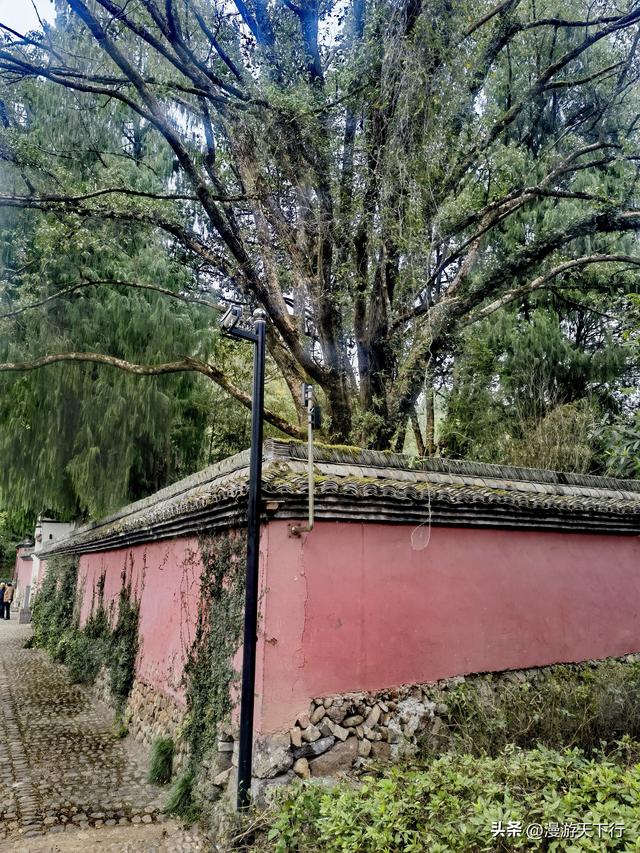 武义桃溪镇延福寺已有千年历史，它没有让我失望