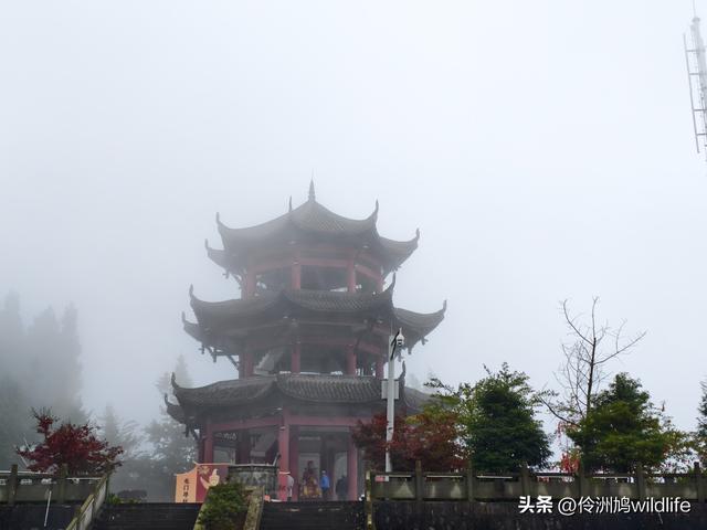 四川行(73)什邡红枫岭徒步到钟鼎寺