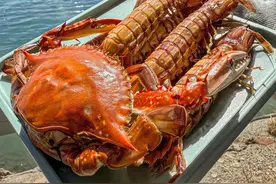 全国最低调的海鲜大省，这么近……图片