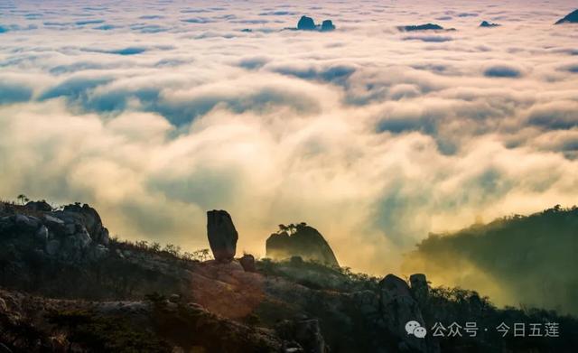 接下来的五莲,是这样的……