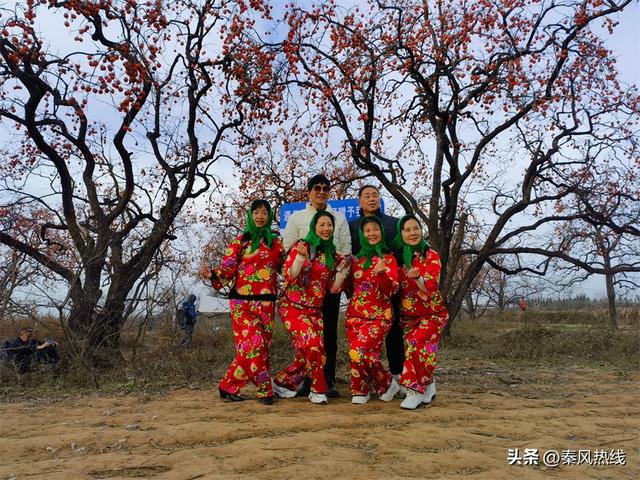 彬州市：多举措提升罗店村柿林观赏地游客满意度