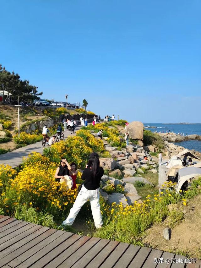 鱼鸣嘴,海阔天空