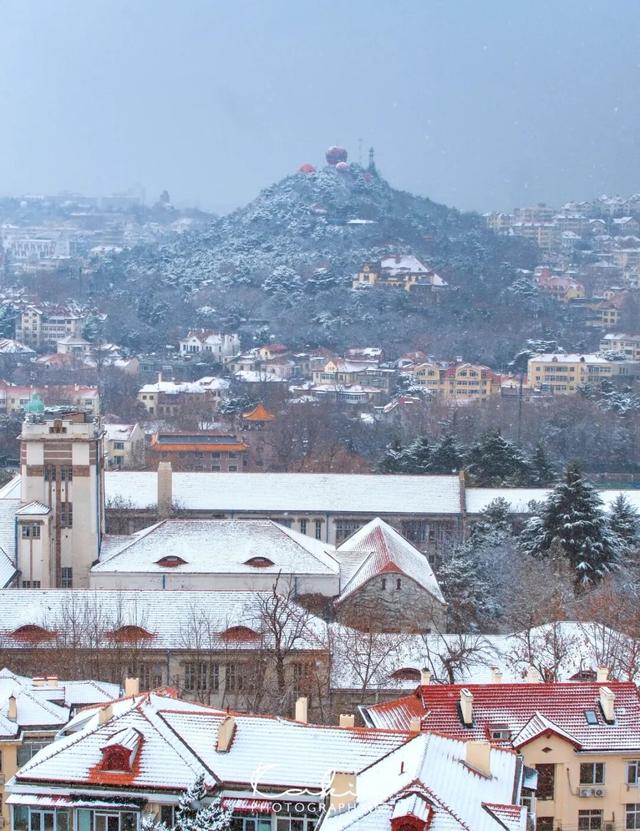 市南的2026，应该这样过...