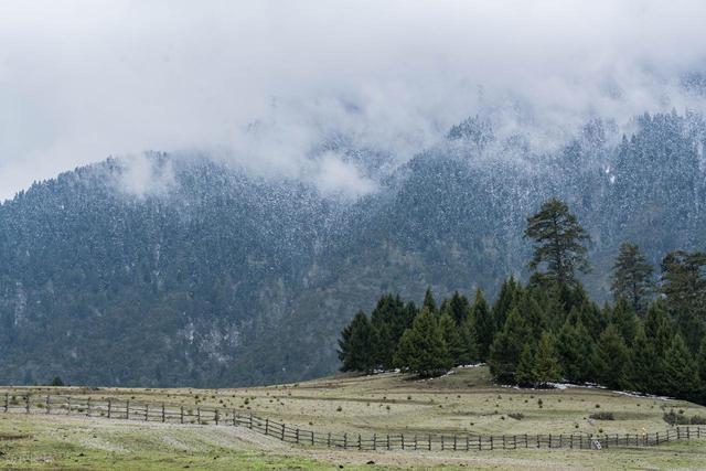2-3月适合去哪里旅行，这6个地方，赴一场春日之约，看看好春光