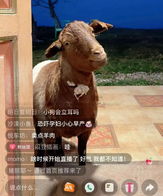 原来大家有这么多“旅行小技巧”，十一赶紧用起来！