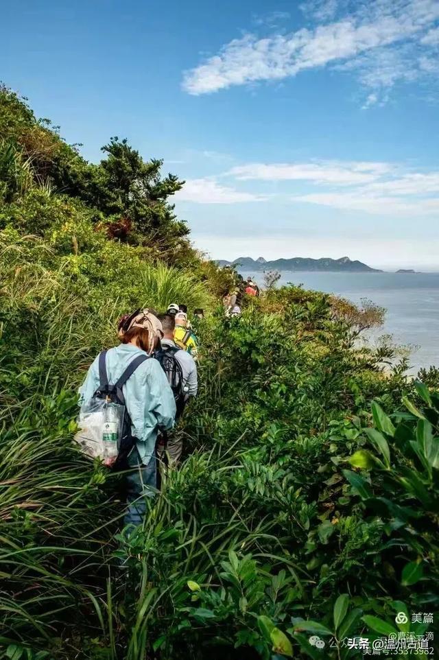 尽享无尽野趣!来浙里,开启一场跨越山与海的秘境徒步之旅!