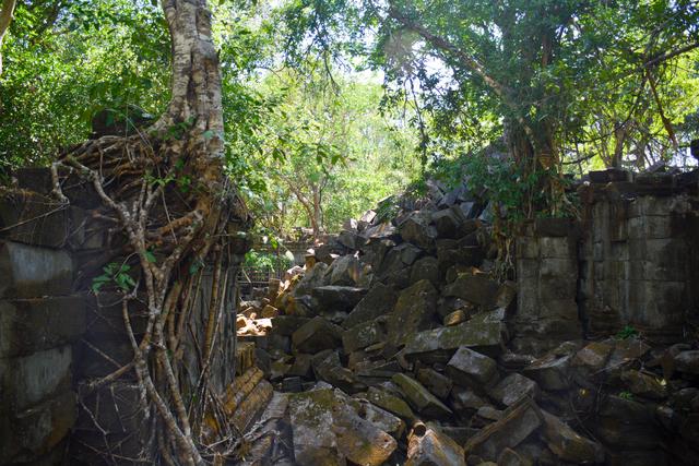 柬埔寨免签冲这处！崩密列的丛林废墟，比吴哥窟更野更出片