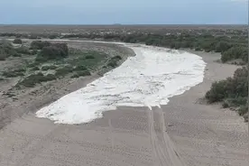 黑河干流向下游额济纳成功输水 东居延海连续二十载不干涸图片