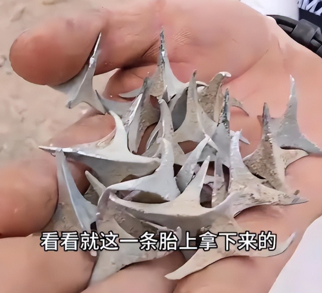 青海扎胎后续：三车12胎全爆，惯犯专挑荒郊野外下手，只坑自驾游