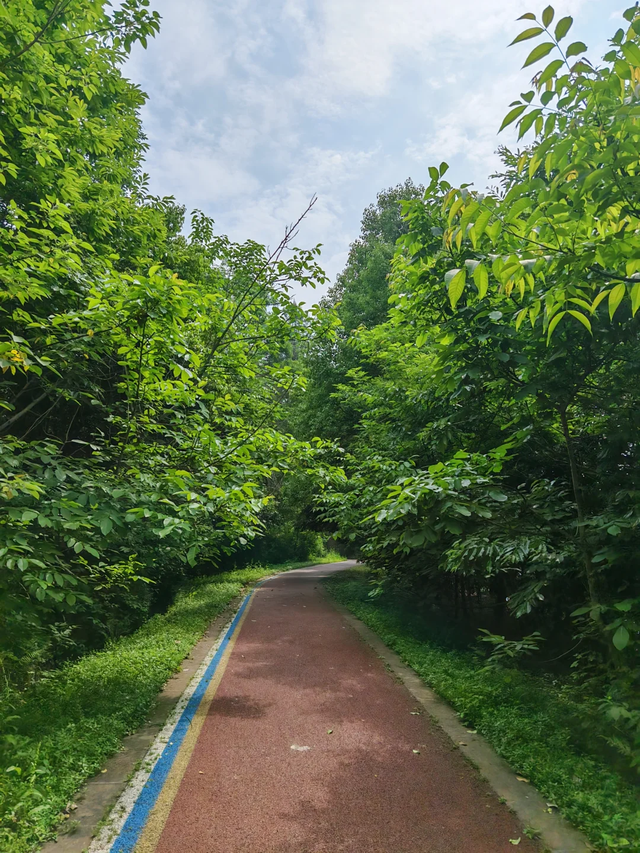 成都0.5h遛娃首选，又找到一条无人问津的捡秋绿道！