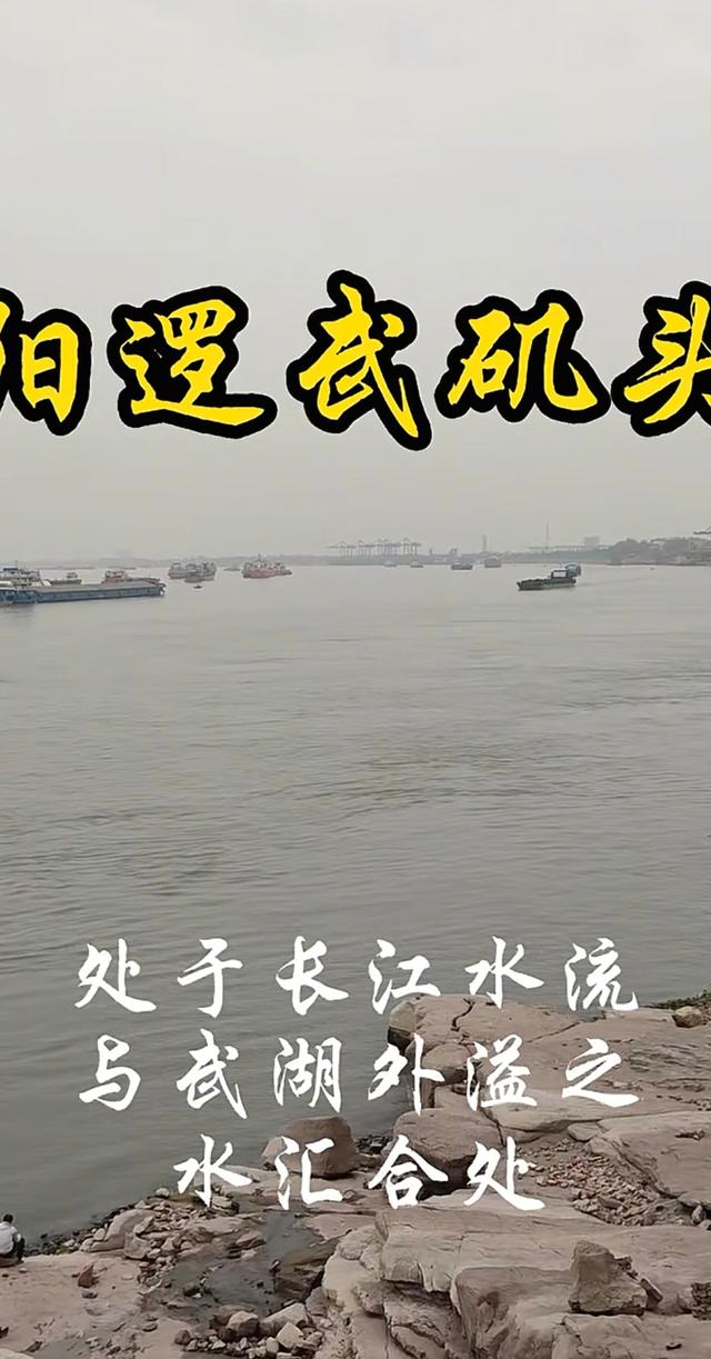 武汉的浦东新区--阳逻历史由来和发展历程探轶 人文新洲