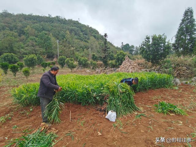 偏远乡野中寻找一个古寺遗址，探险一个深邃溶洞