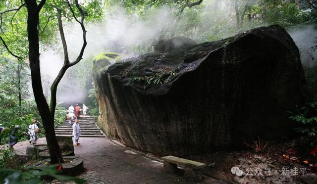 桂平半程马拉松选手看过来！文旅福利已就位，三大景点等你打卡～
