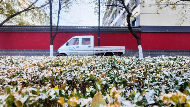 广饶今冬初雪，如约而至！太梦幻了！