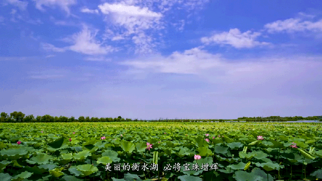 今天，带你认识一下，河北衡水！